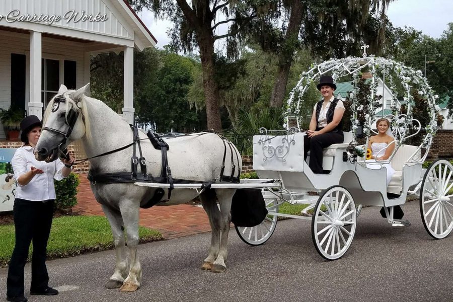 White horse and carriage for a wedding by Pinto Carriage Works