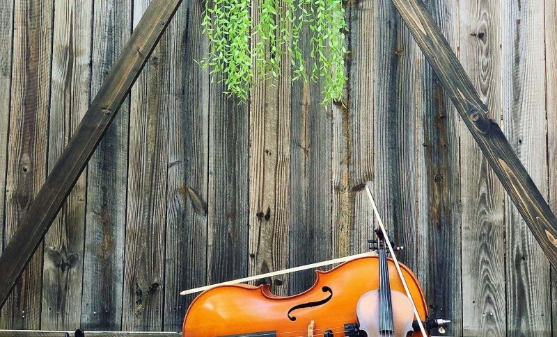 pretty picture of cello and violin